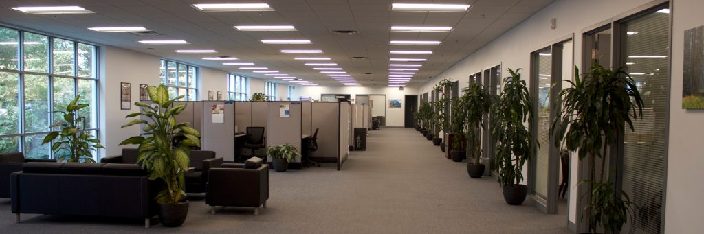 Commercial LED lighting services and solutions